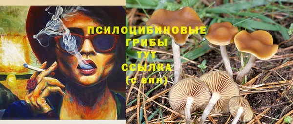 прущие грибы Алексин
