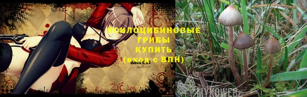 2c-b Алзамай
