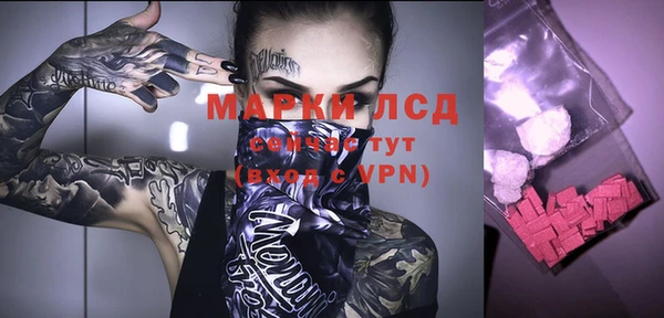 прущие грибы Алексин