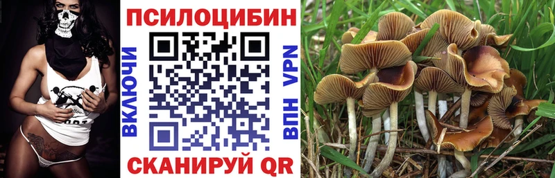 где продают   Калтан  Галлюциногенные грибы MAGIC MUSHROOMS 